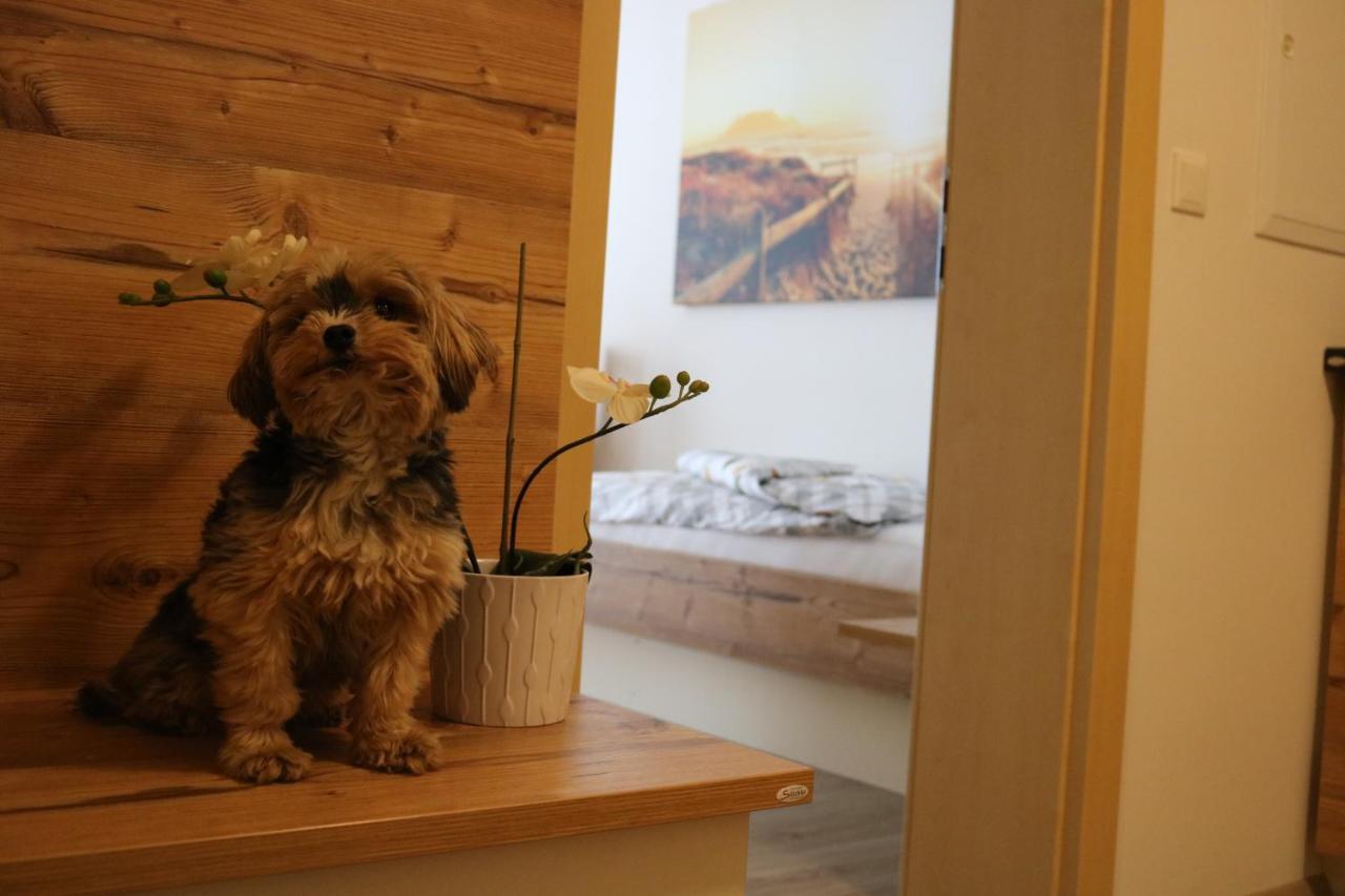 Zirben Diamant Rooms & Dogs Obdach Eksteriør billede
